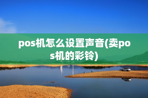 pos机怎么设置声音(卖pos机的彩铃)