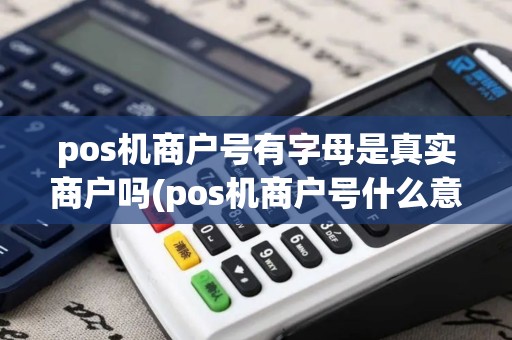 pos机商户号有字母是真实商户吗(pos机商户号什么意思)