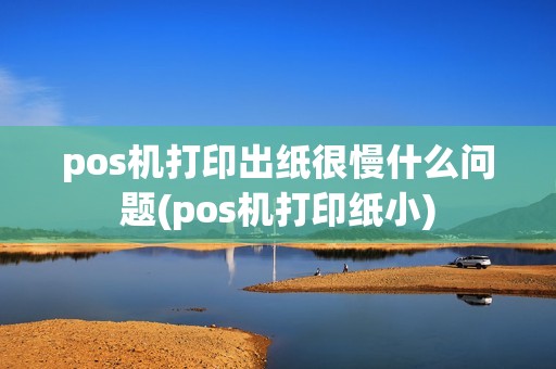 pos机打印出纸很慢什么问题(pos机打印纸小)
