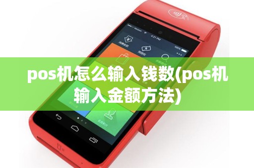 pos机怎么输入钱数(pos机输入金额方法)