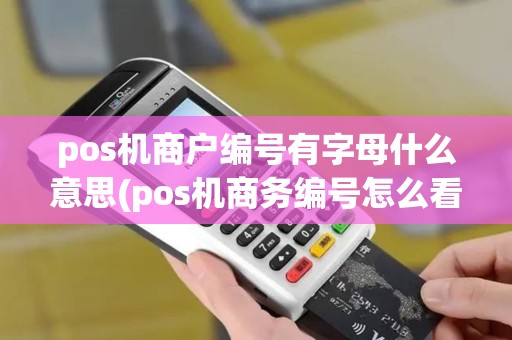 pos机商户编号有字母什么意思(pos机商务编号怎么看)