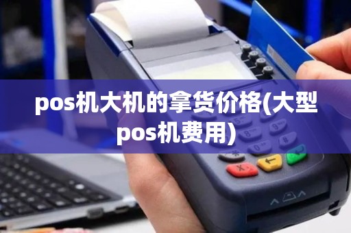 pos机大机的拿货价格(大型pos机费用)