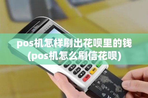 pos机怎样刷出花呗里的钱(pos机怎么刷信花呗)