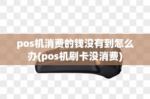 pos机消费的钱没有到怎么办(pos机刷卡没消费)