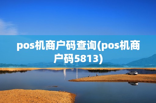 pos机商户码查询(pos机商户码5813)