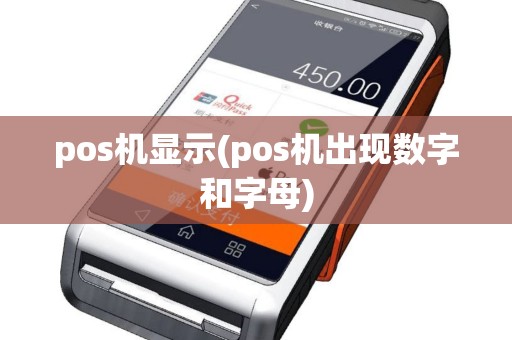 pos机显示(pos机出现数字和字母)