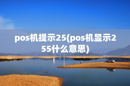 pos机提示25(pos机显示255什么意思)