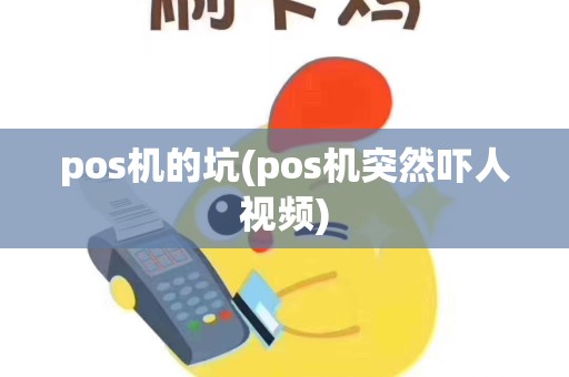 pos机的坑(pos机突然吓人视频)