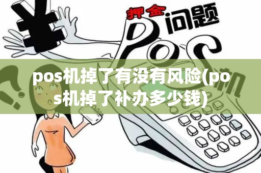 pos机掉了有没有风险(pos机掉了补办多少钱)