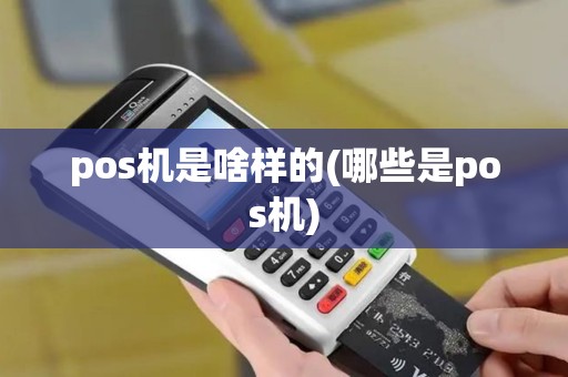 pos机是啥样的(哪些是pos机)