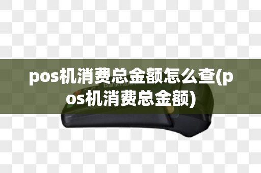pos机消费总金额怎么查(pos机消费总金额)