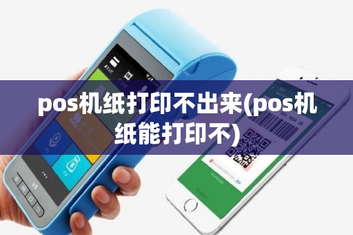 pos机纸打印不出来(pos机纸能打印不)