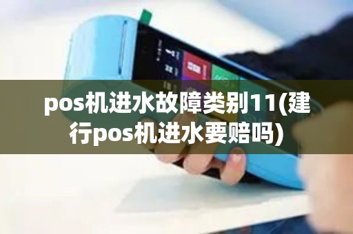 pos机进水故障类别11(建行pos机进水要赔吗)