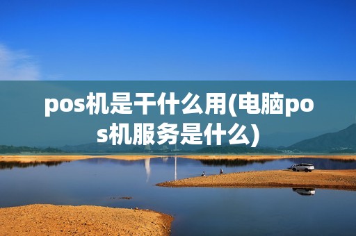 pos机是干什么用(电脑pos机服务是什么)