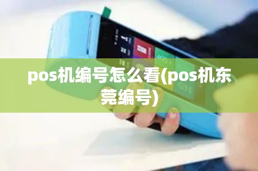 pos机编号怎么看(pos机东莞编号)