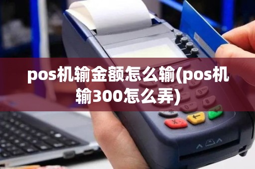 pos机输金额怎么输(pos机输300怎么弄)