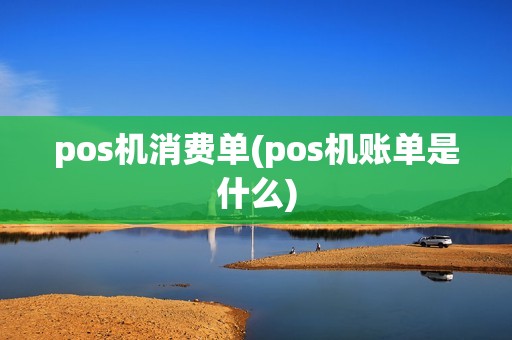 pos机消费单(pos机账单是什么)