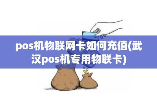 pos机物联网卡如何充值(武汉pos机专用物联卡)