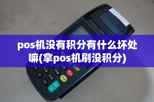 pos机没有积分有什么坏处嘛(拿pos机刷没积分)