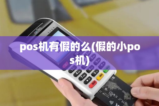 pos机有假的么(假的小pos机)