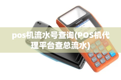 pos机流水号查询(POS机代理平台查总流水)