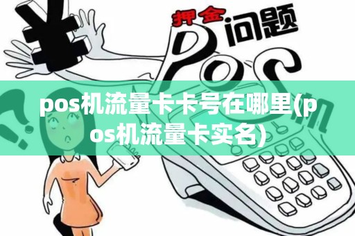 pos机流量卡卡号在哪里(pos机流量卡实名)