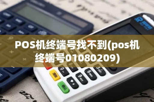 POS机终端号找不到(pos机终端号01080209)