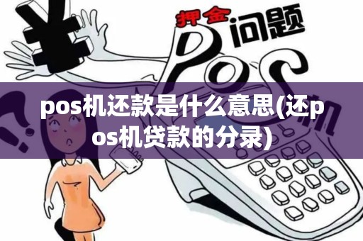 pos机还款是什么意思(还pos机贷款的分录)