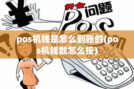 pos机钱是怎么到账的(pos机钱数怎么按)