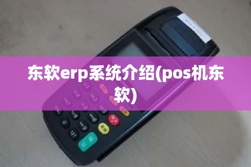 东软erp系统介绍(pos机东软)