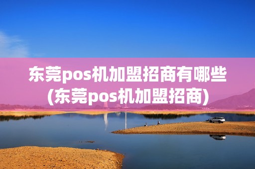 东莞pos机加盟招商有哪些(东莞pos机加盟招商)