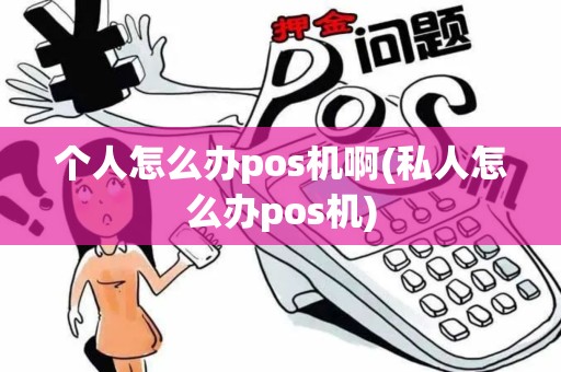 个人怎么办pos机啊(私人怎么办pos机)