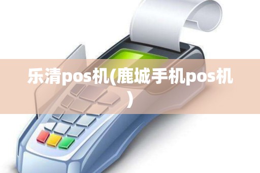 乐清pos机(鹿城手机pos机)