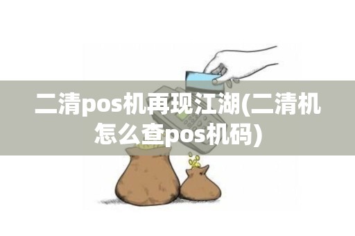 二清pos机再现江湖(二清机怎么查pos机码)