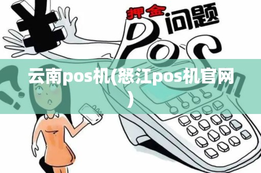 云南pos机(怒江pos机官网)