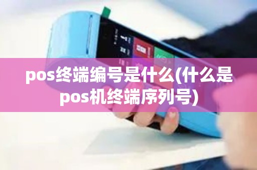 pos终端编号是什么(什么是pos机终端序列号)