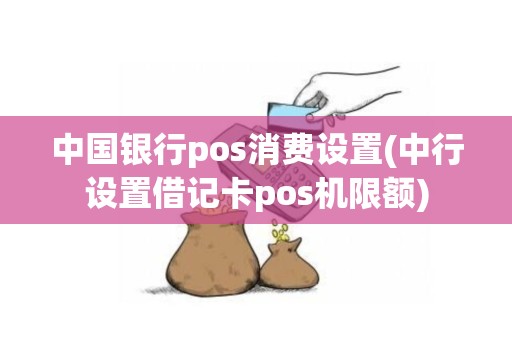 中国银行pos消费设置(中行设置借记卡pos机限额)