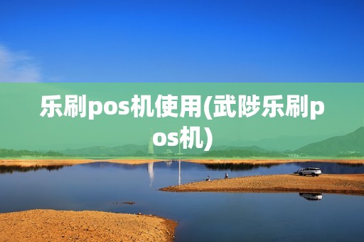 乐刷pos机使用(武陟乐刷pos机)