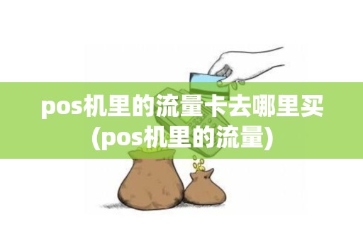 pos机里的流量卡去哪里买(pos机里的流量)