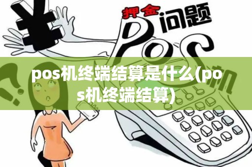 pos机终端结算是什么(pos机终端结算)