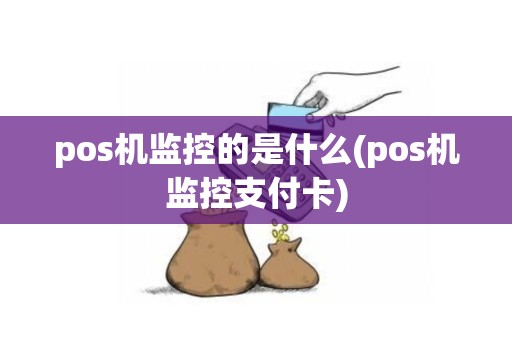 pos机监控的是什么(pos机监控支付卡)