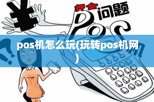 pos机怎么玩(玩转pos机网)