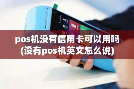 pos机没有信用卡可以用吗(没有pos机英文怎么说)