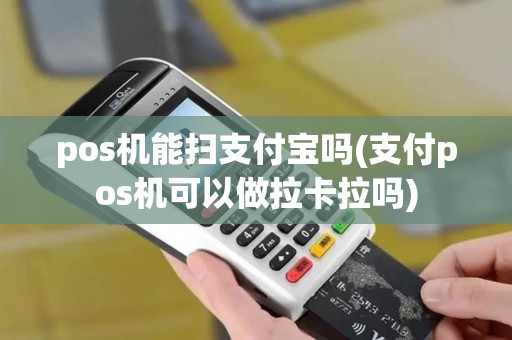 pos机能扫支付宝吗(支付pos机可以做拉卡拉吗)