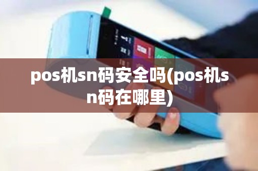 pos机sn码安全吗(pos机sn码在哪里)