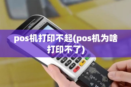 pos机打印不起(pos机为啥打印不了)