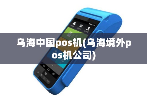乌海中国pos机(乌海境外pos机公司)