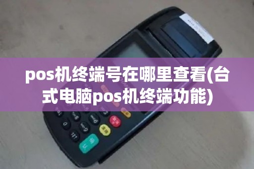 pos机终端号在哪里查看(台式电脑pos机终端功能)