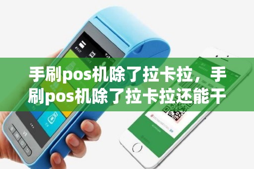 手刷pos机除了拉卡拉，手刷pos机除了拉卡拉还能干嘛