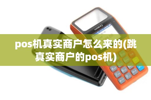 pos机真实商户怎么来的(跳真实商户的pos机)